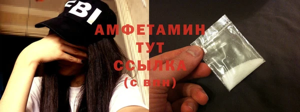 стаф Арсеньев