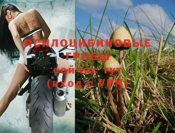 таблы Апатиты
